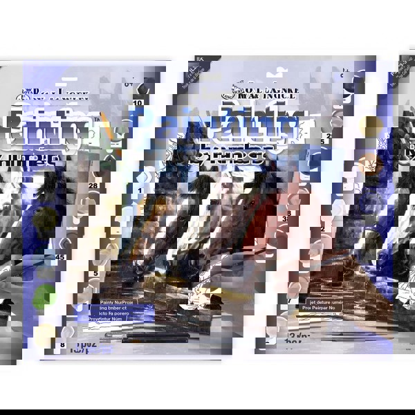 Royal & Langnickel Ζωγραφική με Νούμερα 30x40cm 3 Άλογα.. 